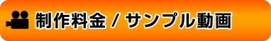 制作料金/サンプル動画