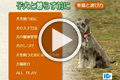 サンプル動画