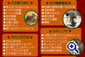 サンプル画像