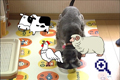 サンプル画像