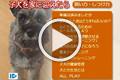サンプル動画